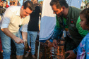 Novo ciclo do projeto Rio Vivo vai soltar 2,6 milhões de peixes nativos nas bacias do Paraná a partir deste mês