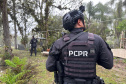 PCPR prende 12 pessoas em operação contra o tráfico de drogas em quatro cidades do Paraná
