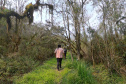 CAMINHOS PEABIRU