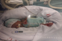 SESA PAIS DE UTI BEBES PREMATUROS