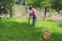 IAT vai recuperar quatro hectares de mata ciliar para comemorar o Dia do Rio