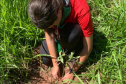 IAT vai recuperar quatro hectares de mata ciliar para comemorar o Dia do Rio