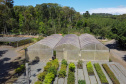 FLORESTA