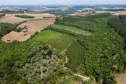 FLORESTA