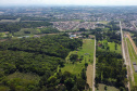 FLORESTA