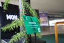 IAT EVENTO MEIO AMBIENTE MON