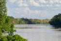 IAT - RIO VIVO