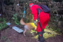 Corpo de Bombeiros encontra menina desaparecida em General Carneiro