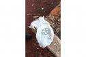 PCPR e PMPR prendem 10 pessoas em flagrante por tráfico durante operação no Oeste do Estado