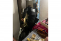 PCPR e PMPR prendem 10 pessoas em flagrante por tráfico durante operação no Oeste do Estado