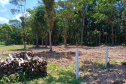 IAT LITORAL