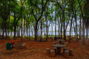 Santa Terezinha de Itaipu