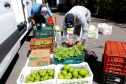 COMPRA DIRETA – O programa que visa adquirir gêneros alimentícios de cooperativas ou associações da agricultura familiar, para entregar diretamente à rede socioassistencial do Estado, beneficiou cerca de mil entidades filantrópicas do Paraná, atendendo 358,6 mil pessoas com o recebimento de alimentos diversificados.