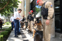 Reforço nas estradas: DER/PR entrega 36 viaturas e 5 cães ao Batalhão de Polícia Rodoviária