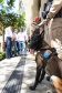 Reforço nas estradas: DER/PR entrega 36 viaturas e 5 cães ao Batalhão de Polícia Rodoviária