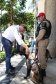 Reforço nas estradas: DER/PR entrega 36 viaturas e 5 cães ao Batalhão de Polícia Rodoviária