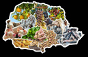 ALIMENTAR