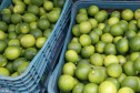 FRUTAS