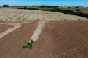 BOLETIM AGRO