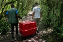 Equipe do IAT devolve tamanduá mirim à natureza