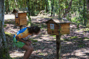IAT EDUCAÇÃO AMBIENTAL ILHA DO MEL