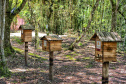 IAT EDUCAÇÃO AMBIENTAL ILHA DO MEL