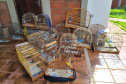 IAT APREENSÃO AVES