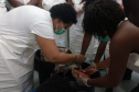 Projeto paranaense de produção de couro de peixe será implantado em  Cabo Verde com apoio da ONU