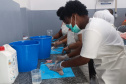 Projeto paranaense de produção de couro de peixe será implantado em  Cabo Verde com apoio da ONU