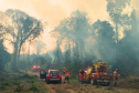 Com incêndios em alta, bombeiros registraram aumento de 10% no total de ocorrências em 2024