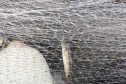 Operação do Instituto Água e Terra (IAT) contra a pesca predatória nas baías de Antonina e Paranaguá.