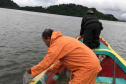 Um dia após a proibição da pesca, agentes do IAT recuperam 13 quilos de camarão em Guaraqueçaba