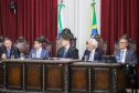 VICE GOV POSSE PRESIDENTE TCE