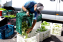 Governo divulga edital de R$ 77 milhões para Compra Direta de alimentos