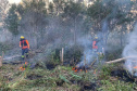 Com incêndios em alta, bombeiros registraram aumento de 10% no total de ocorrências em 2024