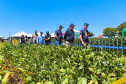 Agroshow Copagril, em Marechal Cândido Rondon