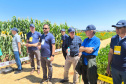 Agroshow Copagril, em Marechal Cândido Rondon