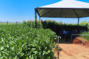 Agroshow Copagril, em Marechal Cândido Rondon