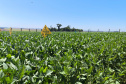 Agroshow Copagril, em Marechal Cândido Rondon