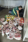PCPR e Vigilância Sanitária apreendem 161 quilos de carne e prendem responsável em Pontal do Paraná