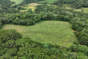 SETU CAMINHO DO VINHO BITURUNA