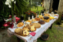 SETU CAMINHO DO VINHO BITURUNA
