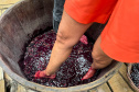 SETU CAMINHO DO VINHO BITURUNA