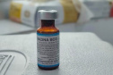 No Dia Mundial da Tuberculose, Paraná anuncia sistema de vigilância à doença