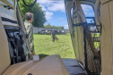 PCPR TREINA CÃES FAREJADORES