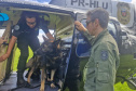 PCPR TREINA CÃES FAREJADORES