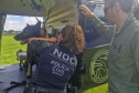 PCPR TREINA CÃES FAREJADORES