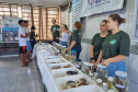 Ações ambientais organizadas pelo IAT para comemorar o Dia Mundial da Água distribuíram mais de oito mil mudas de espécies nativas