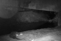 Programa ambiental Ponte de Guaratuba