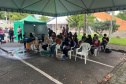 Passagem do CastraPet Paraná por São José dos Pinhais beneficiou 687 animais, entre cães e gatos, de diferentes ONGs e protetoras independentes